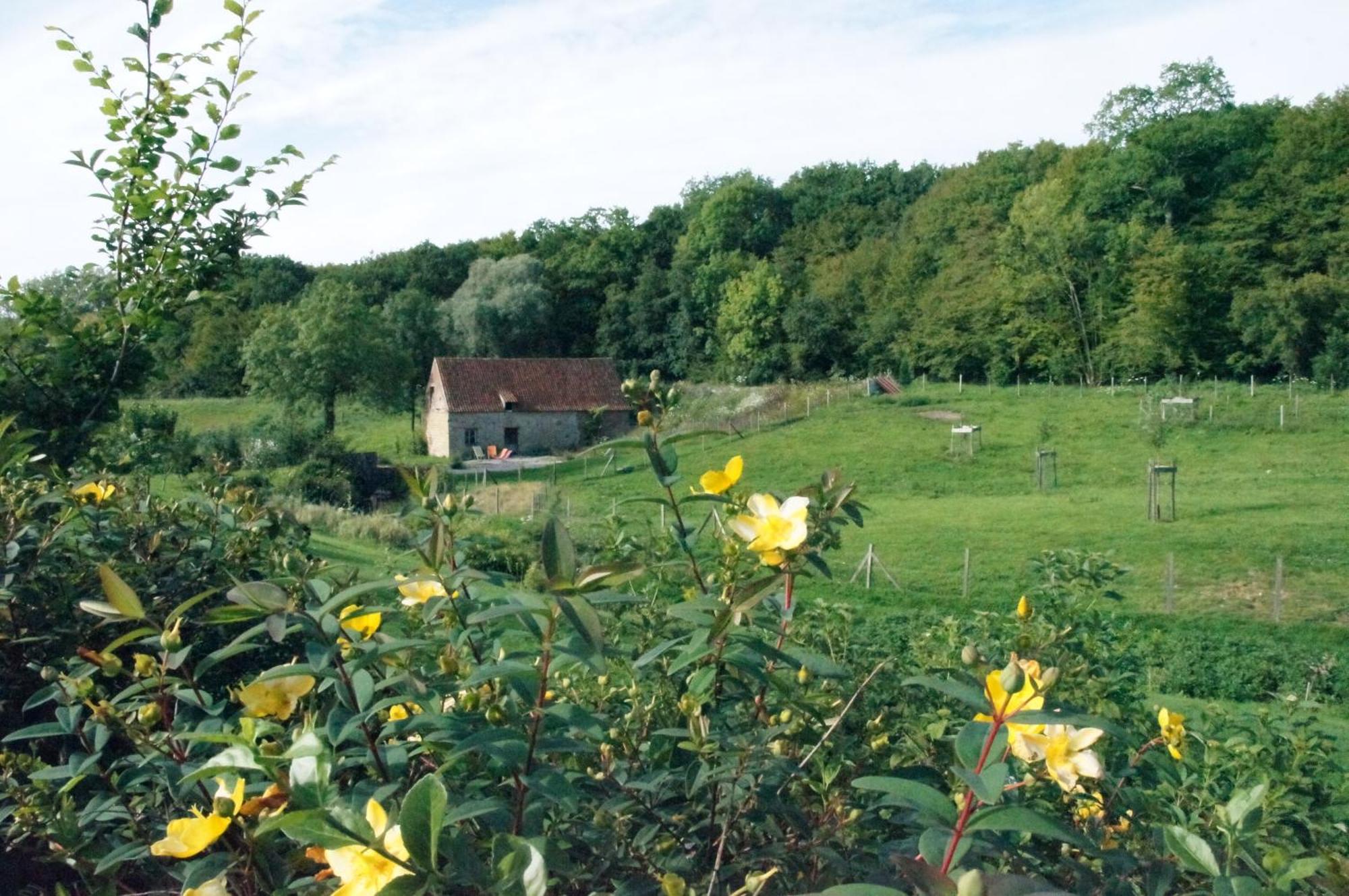 Hotel Du Moulin Aux Draps Desvres Exterior foto