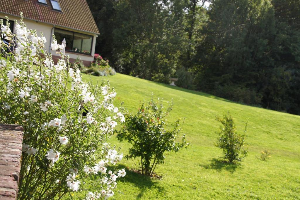 Hotel Du Moulin Aux Draps Desvres Habitación foto